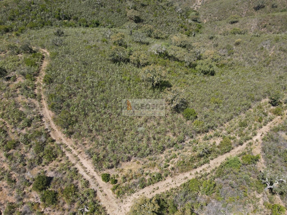 Terreno para Venda em São Barnabe Foto 2
