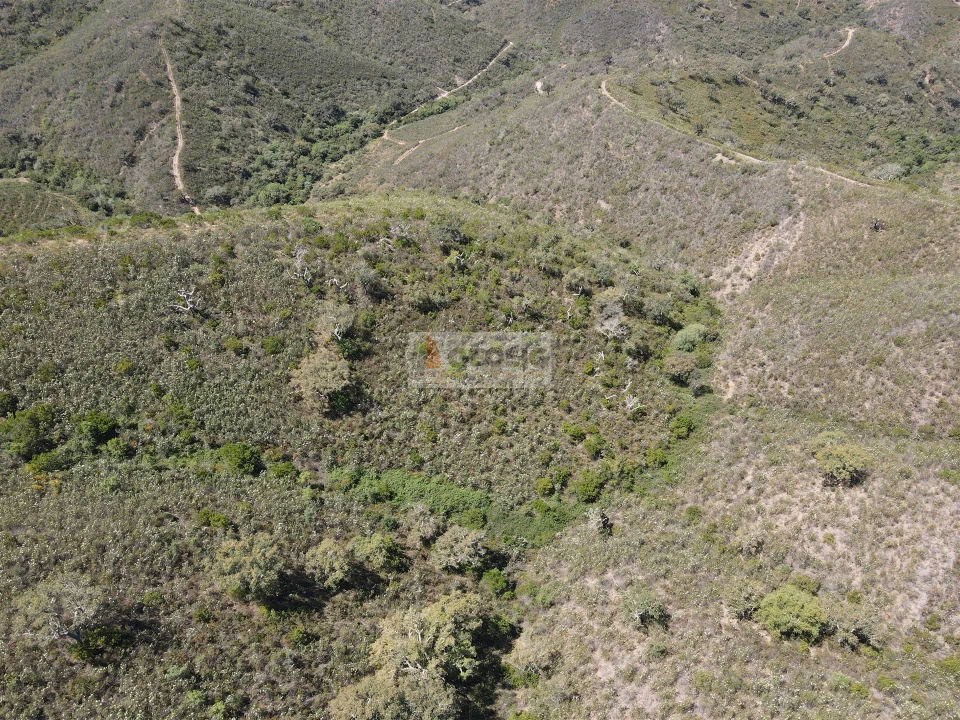 Terreno para Venda em São Barnabe Foto 3