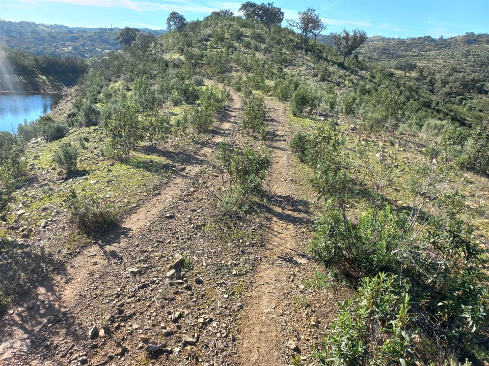Terreno Agricola ou Rústico para Venda em Santa Clara-A-Nova e Gomes Aires Foto 10