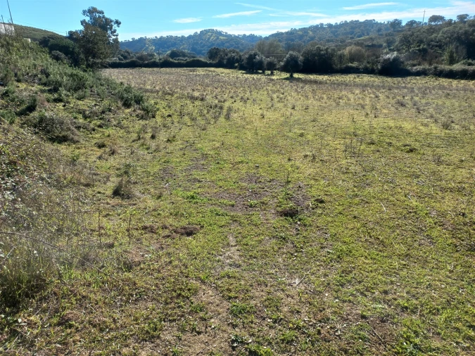 Terreno Agricola ou Rústico para Venda em Santa Clara-A-Nova e Gomes Aires Foto 15