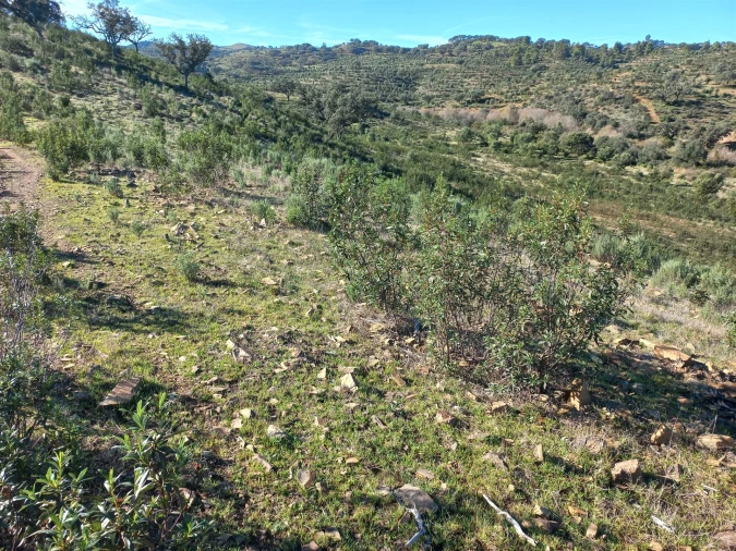 Terreno Agricola ou Rústico para Venda em Santa Clara-A-Nova e Gomes Aires Foto 12