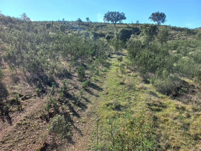 Terreno Agricola ou Rústico para Venda em Santa Clara-A-Nova e Gomes Aires Foto 3