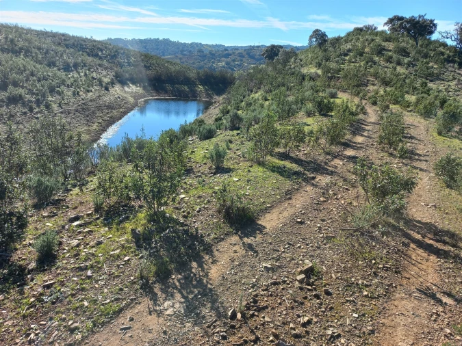 Terreno Agricola ou Rústico para Venda em Santa Clara-A-Nova e Gomes Aires