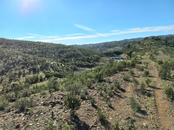 Terreno Agricola ou Rústico para Venda em Santa Clara-A-Nova e Gomes Aires Foto 14