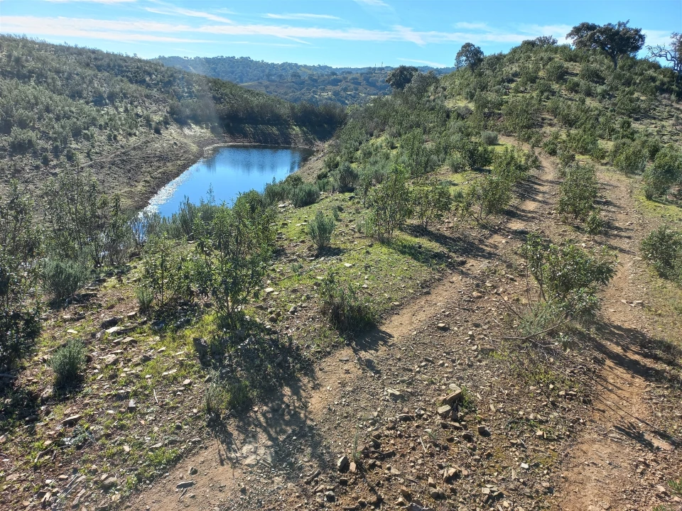 Terreno Agricola ou Rústico para Venda em Santa Clara-A-Nova e Gomes Aires Foto 1