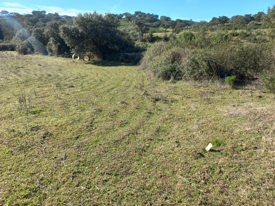 Terreno Agricola ou Rústico para Venda em Santa Clara-A-Nova e Gomes Aires Foto 16