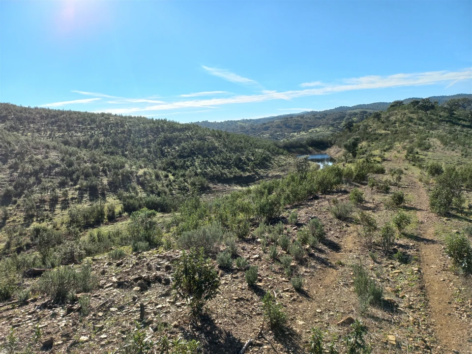 Terreno Agricola ou Rústico para Venda em Santa Clara-A-Nova e Gomes Aires Foto 14