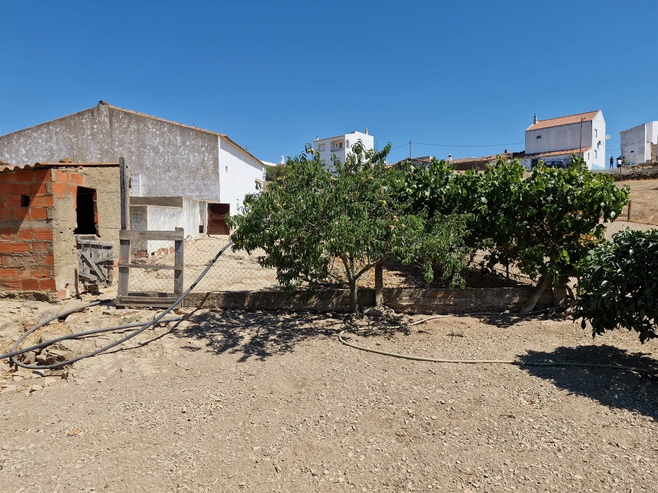 Terreno Agricola ou Rústico para Venda em Almodôvar e Graça dos Padrões Foto 8