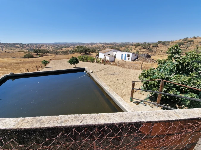Terreno Agricola ou Rústico para Venda em Almodôvar e Graça dos Padrões Foto 1