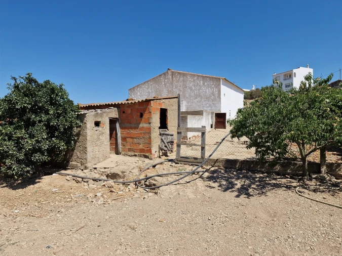 Terreno Agricola ou Rústico para Venda em Almodôvar e Graça dos Padrões Foto 6