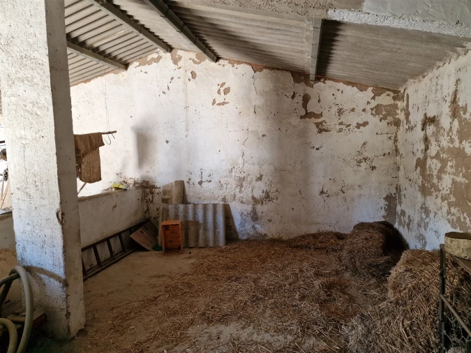 Terreno Agricola ou Rústico para Venda em Almodôvar e Graça dos Padrões Foto 9