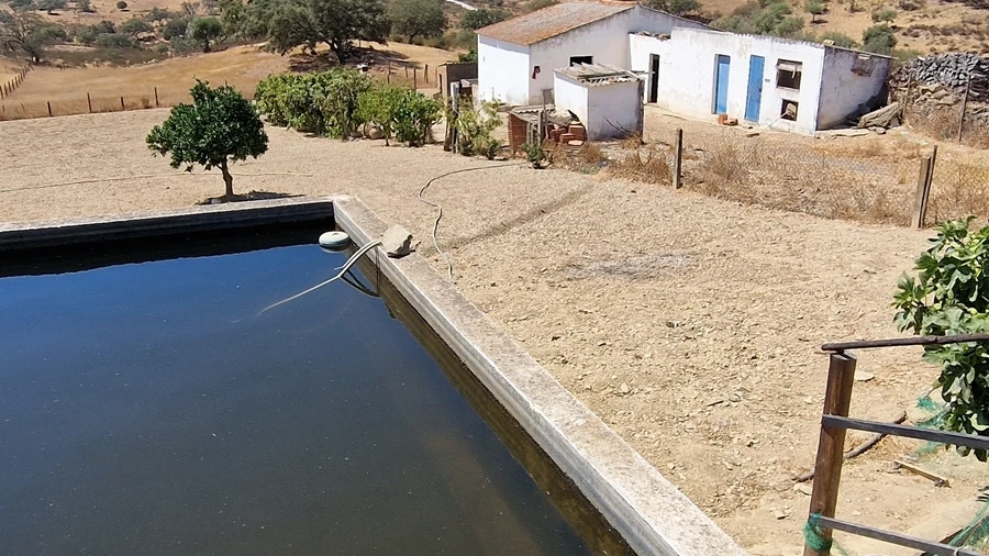 Terreno Agricola ou Rústico para Venda em Almodôvar e Graça dos Padrões