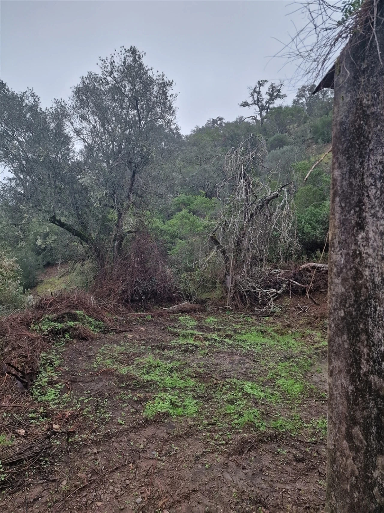 Armazém para Venda em Santa Clara-A-Nova e Gomes Aires Foto 6