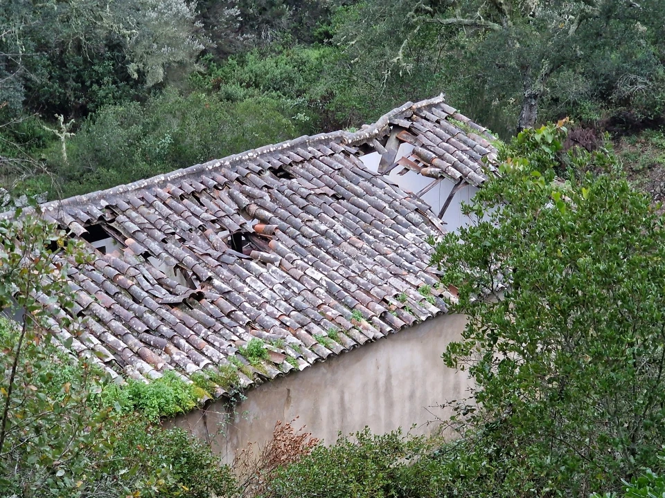 Armazém para Venda em Santa Clara-A-Nova e Gomes Aires Foto 9