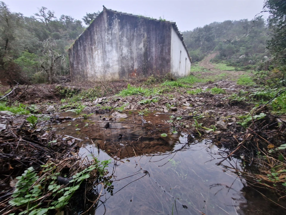 Armazém para Venda em Santa Clara-A-Nova e Gomes Aires Foto 10