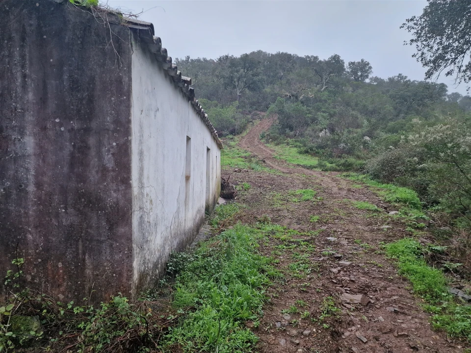 Armazém para Venda em Santa Clara-A-Nova e Gomes Aires Foto 7