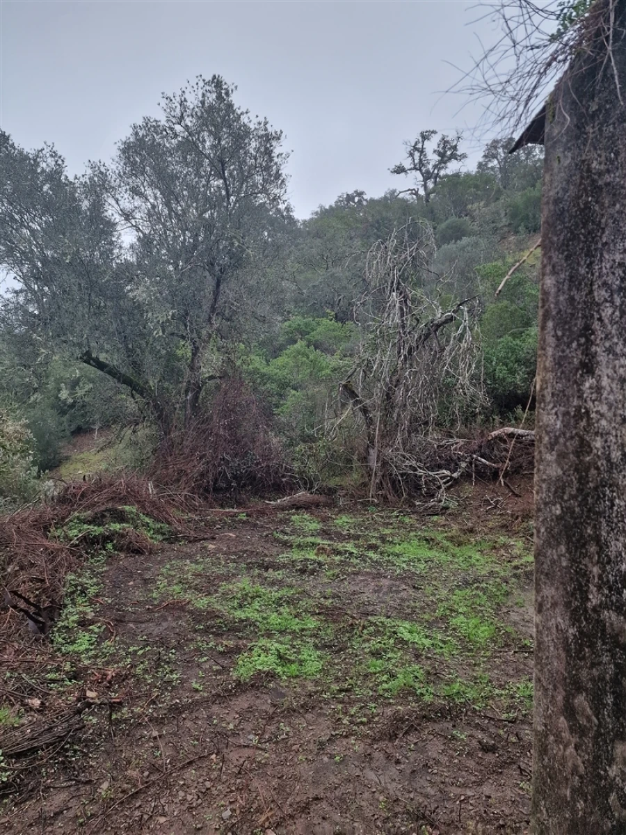 Armazém para Venda em Santa Clara-A-Nova e Gomes Aires Foto 6
