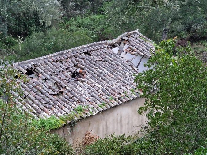 Armazém para Venda em Santa Clara-A-Nova e Gomes Aires Foto 9