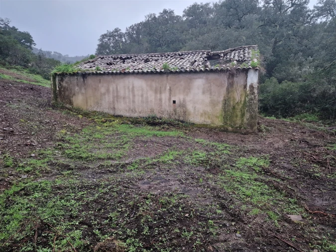Armazém para Venda em Santa Clara-A-Nova e Gomes Aires Foto 5