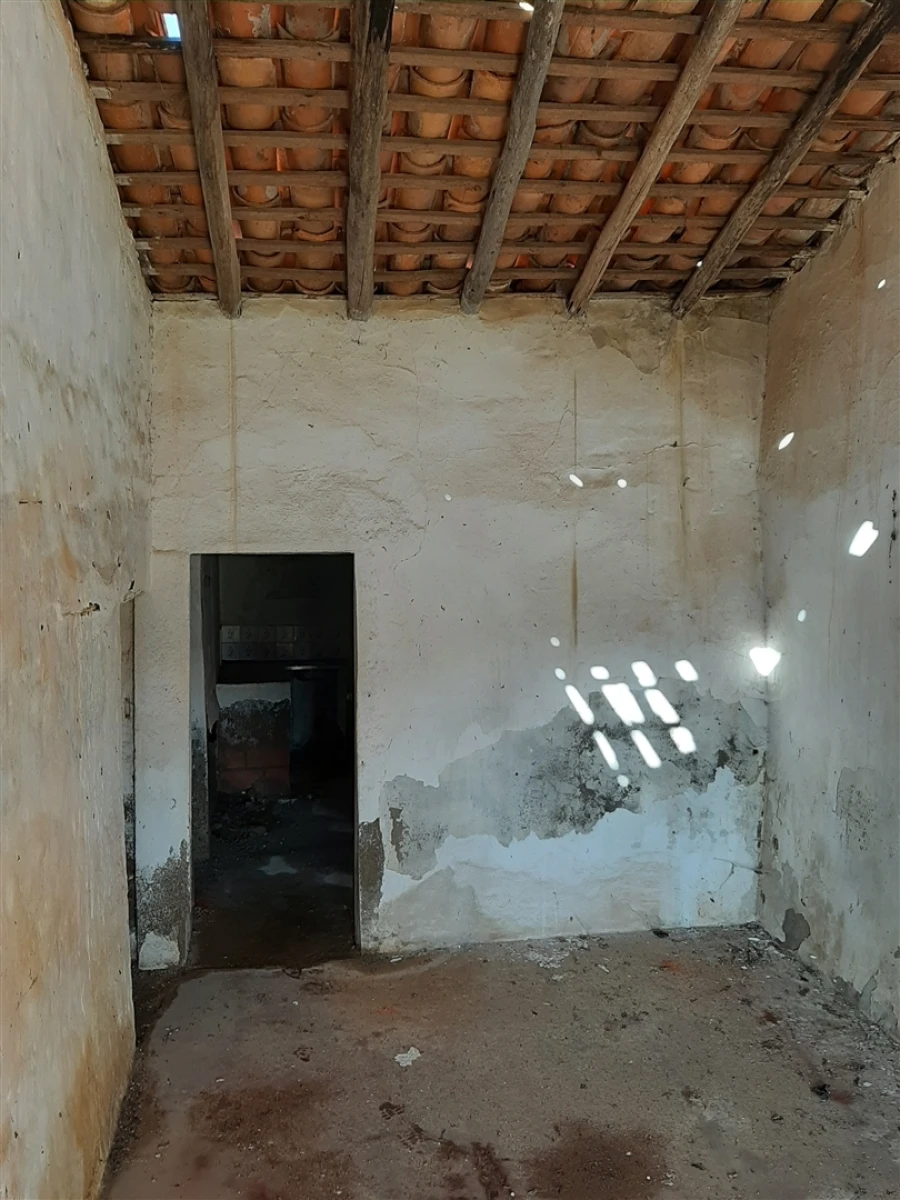 Terreno Agricola ou Rústico para Venda em Santa Clara-A-Nova e Gomes Aires Foto 2