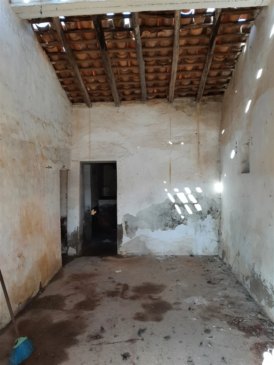 Terreno Agricola ou Rústico para Venda em Santa Clara-A-Nova e Gomes Aires Foto 3