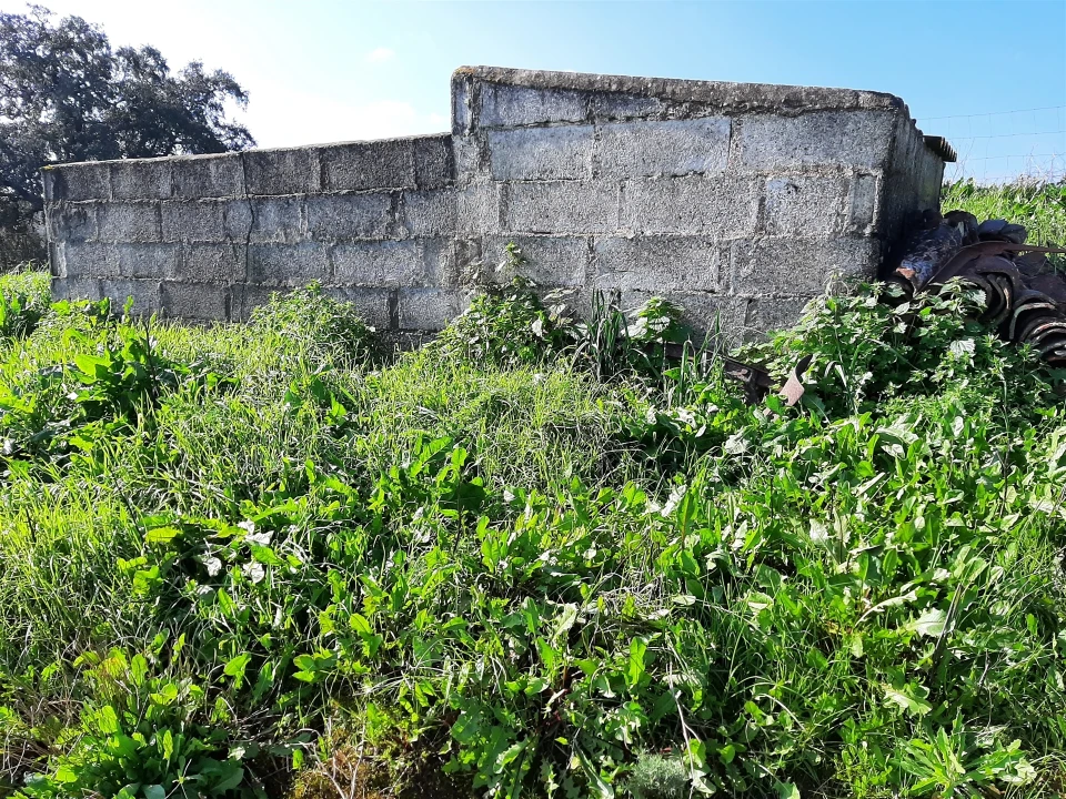 Terreno Agricola ou Rústico para Venda em Santa Clara-A-Nova e Gomes Aires Foto 13