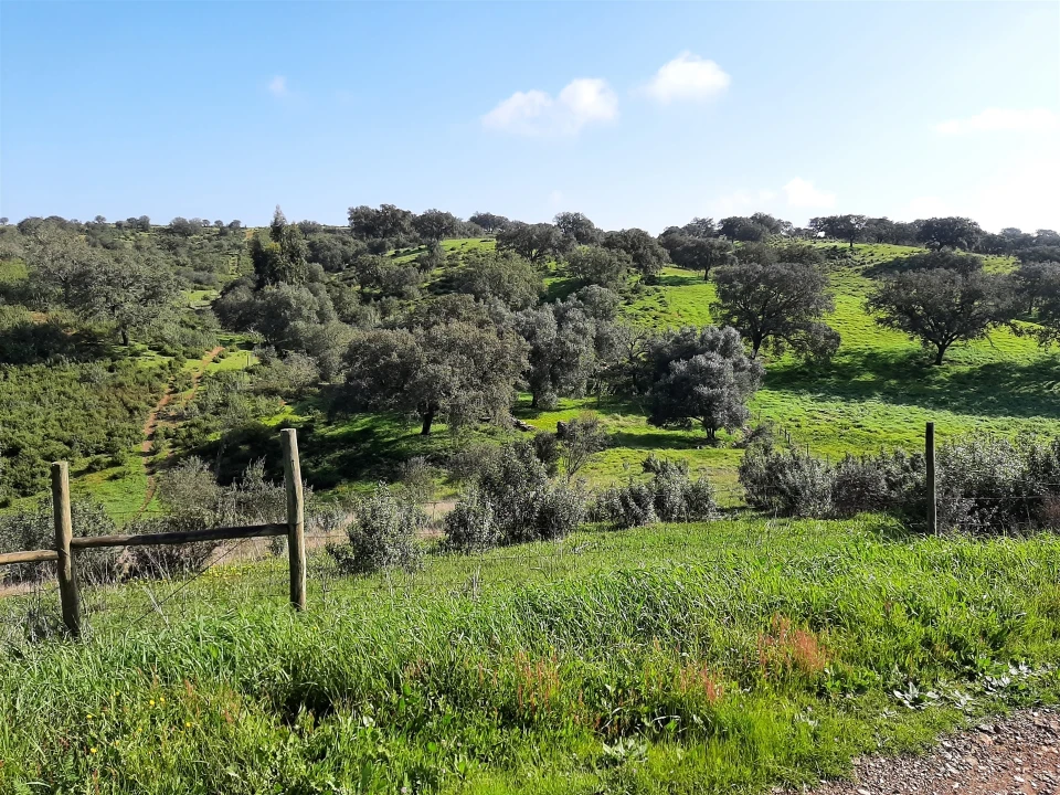 Terreno Agricola ou Rústico para Venda em Santa Clara-A-Nova e Gomes Aires Foto 12