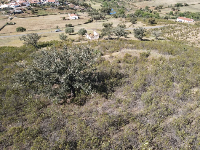 Moradia T2 para Venda em Ameixial Foto 12