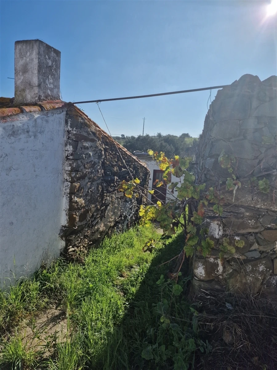 Moradia T1 para Venda em Martim Longo Foto 16