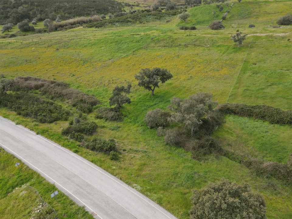 Quinta T3 para Venda em Santa Cruz Foto 26