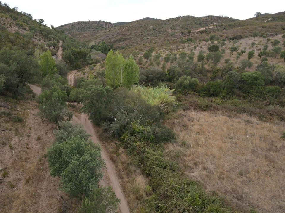 Quinta T3 para Venda em São Barnabe Foto 4