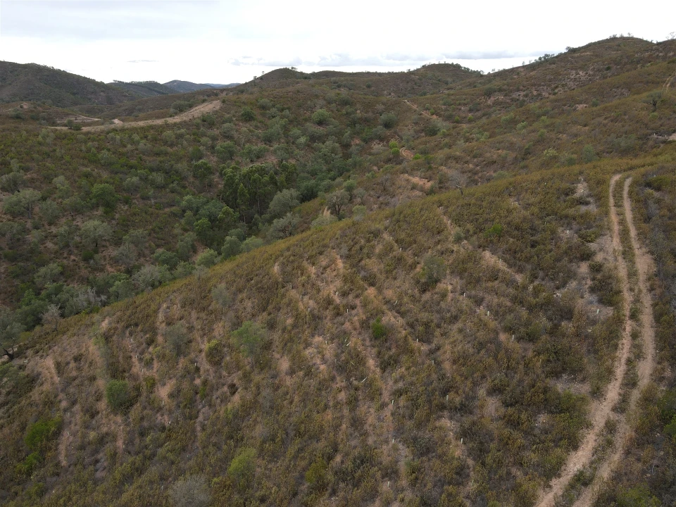 Quinta T3 para Venda em São Barnabe Foto 13