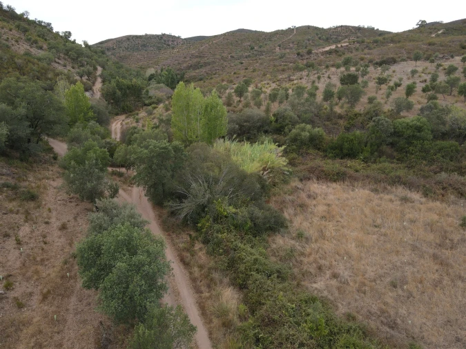 Quinta T3 para Venda em São Barnabe Foto 4