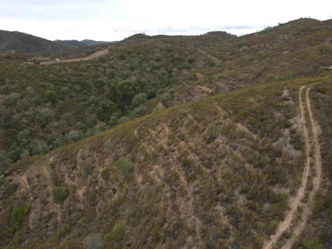 Quinta T3 para Venda em São Barnabe Foto 13