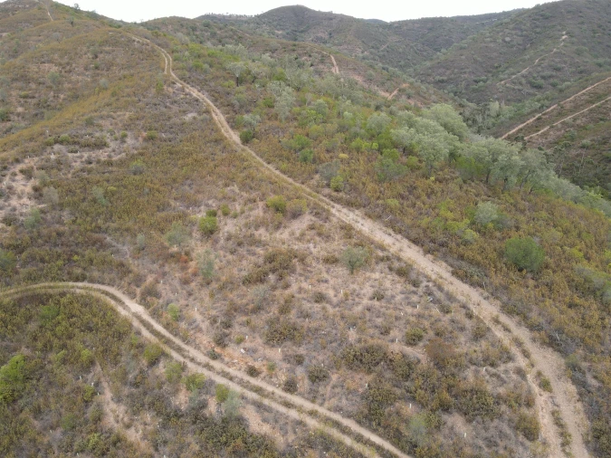 Quinta T3 para Venda em São Barnabe Foto 10