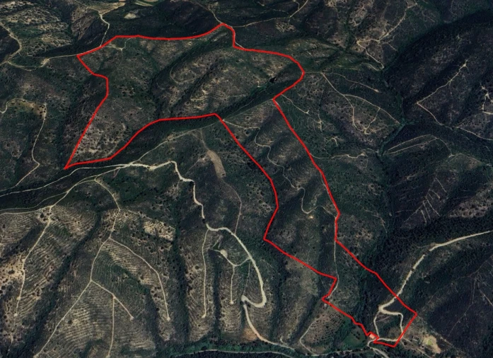 Quinta T3 para Venda em São Barnabe Foto 18