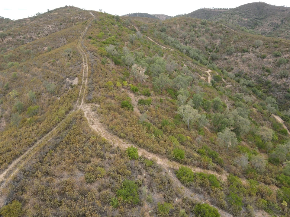 Quinta T3 para Venda em São Barnabe Foto 15
