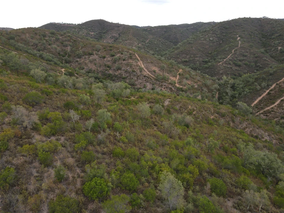 Quinta T3 para Venda em São Barnabe Foto 12