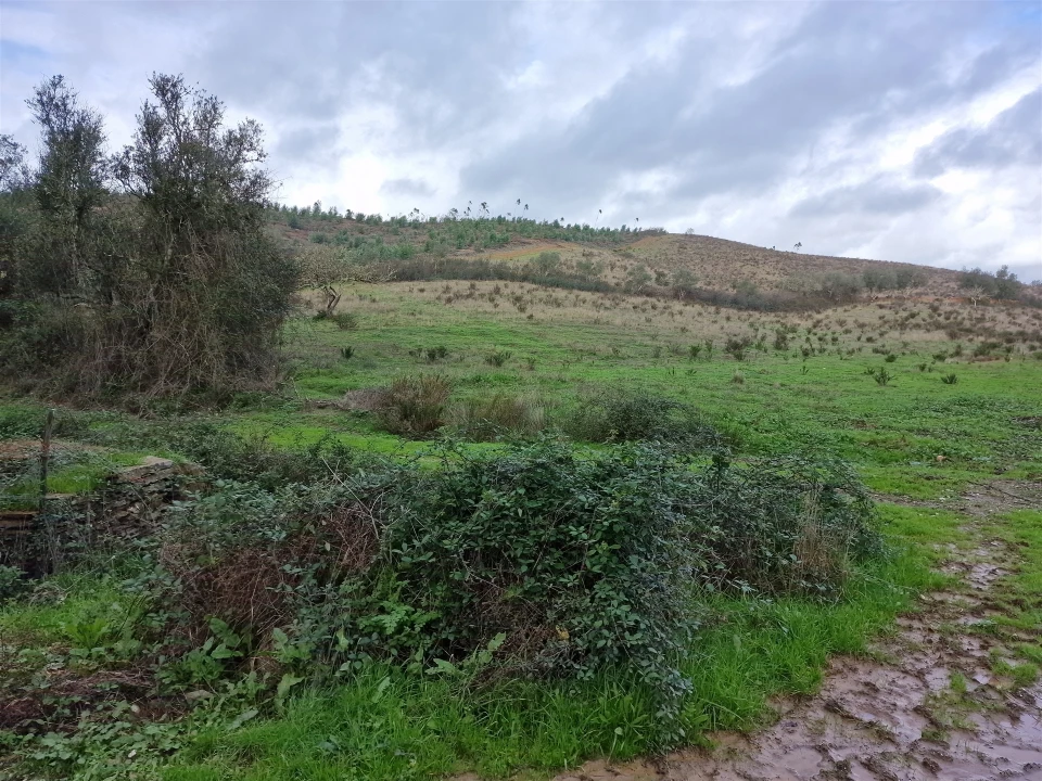 Quinta T0 para Venda em Saboia Foto 16