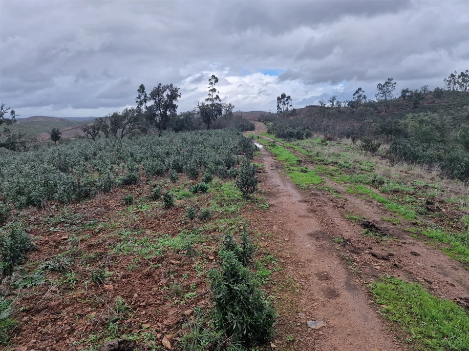 Quinta T0 para Venda em Saboia Foto 27