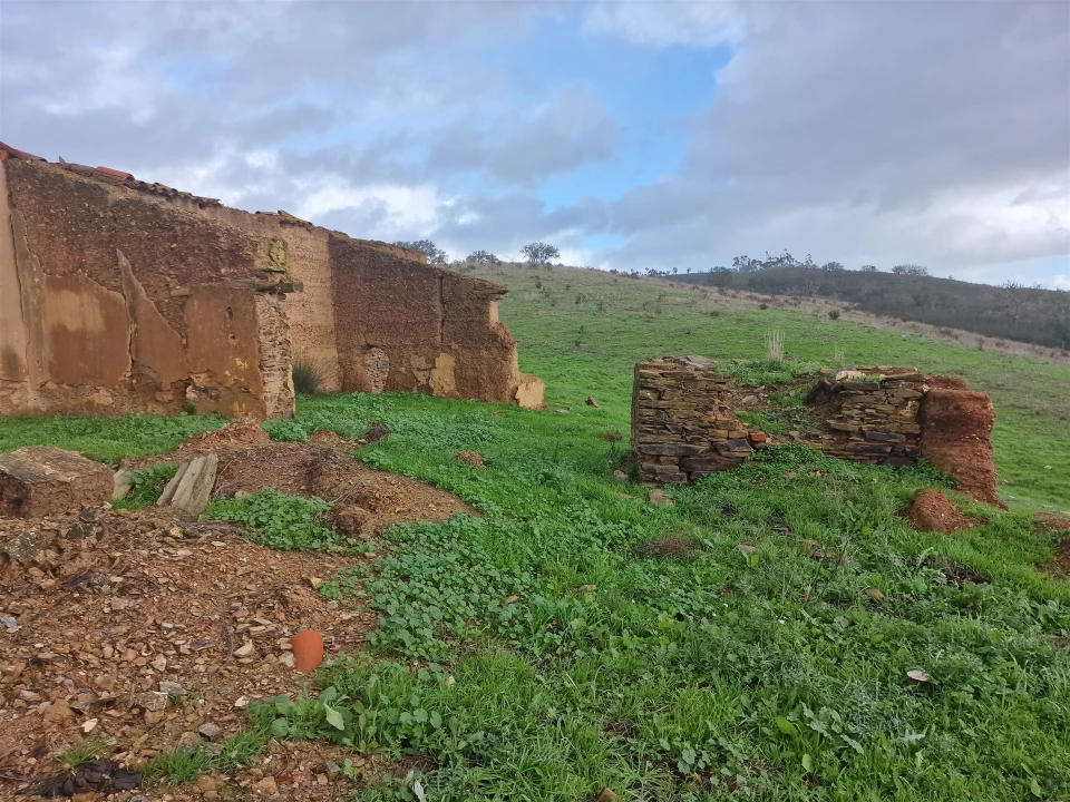 Quinta T0 para Venda em Saboia Foto 6