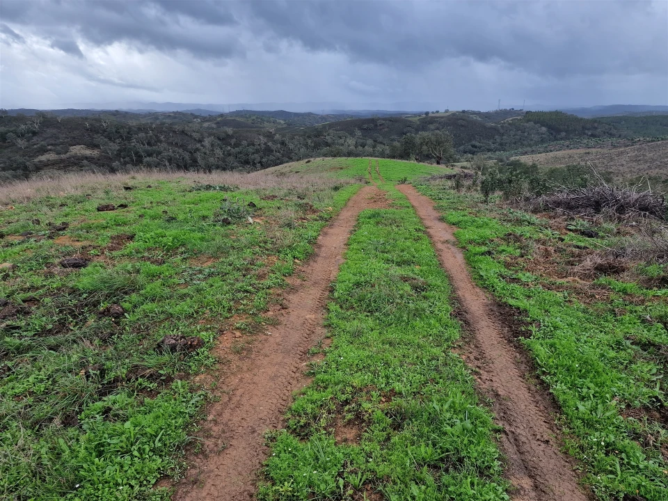 Quinta T0 para Venda em Saboia Foto 25