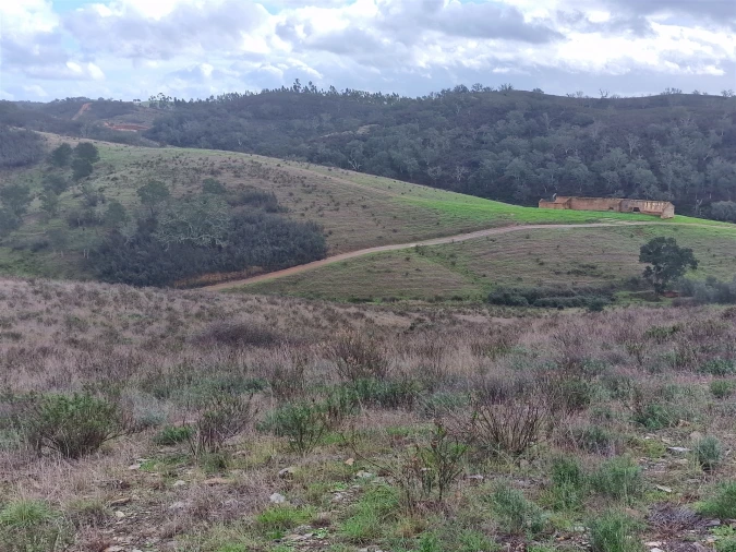 Quinta T0 para Venda em Saboia Foto 20