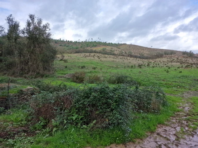 Quinta T0 para Venda em Saboia Foto 16