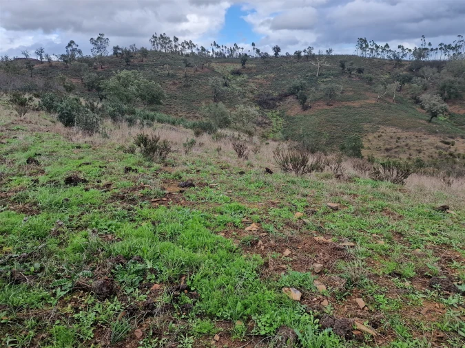 Quinta T0 para Venda em Saboia Foto 26
