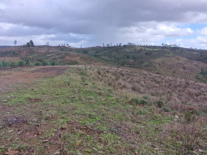 Quinta T0 para Venda em Saboia Foto 18