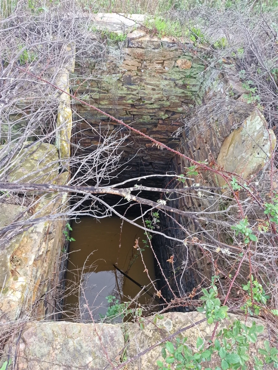 Quinta T0 para Venda em Saboia Foto 11