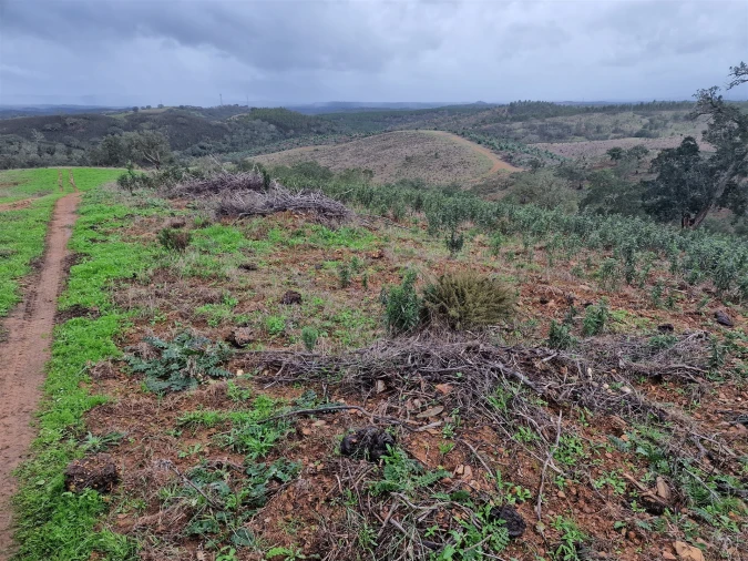 Quinta T0 para Venda em Saboia Foto 30