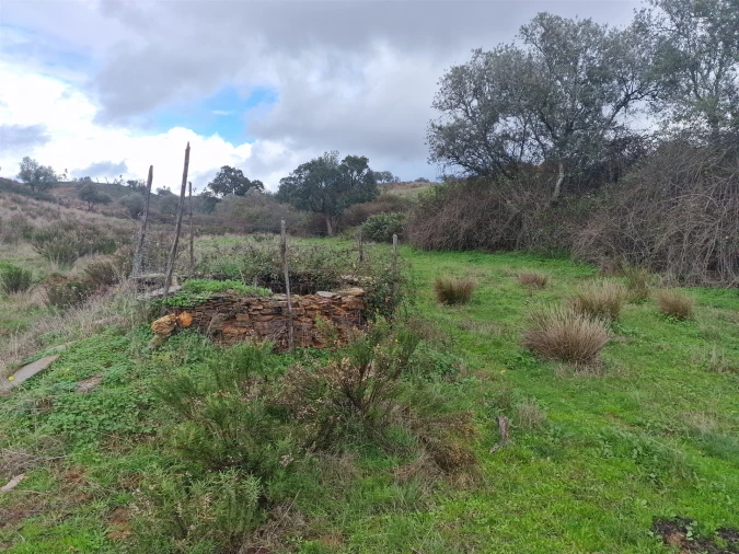 Quinta T0 para Venda em Saboia Foto 21