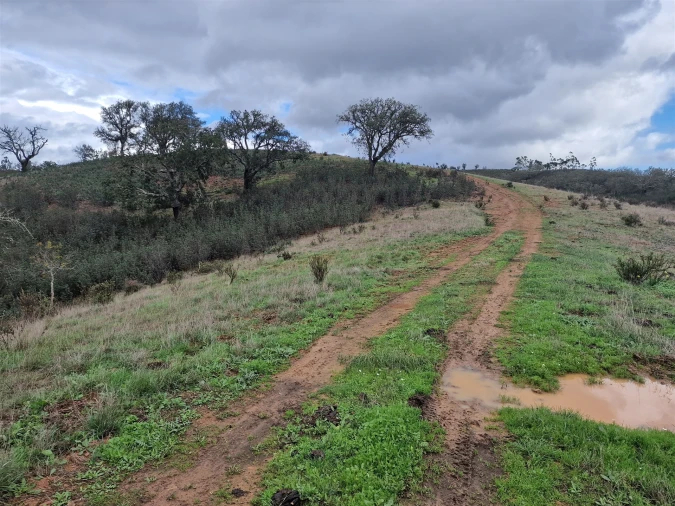 Quinta T0 para Venda em Saboia Foto 24